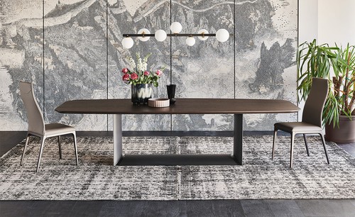 Dragon Wood Dining Table